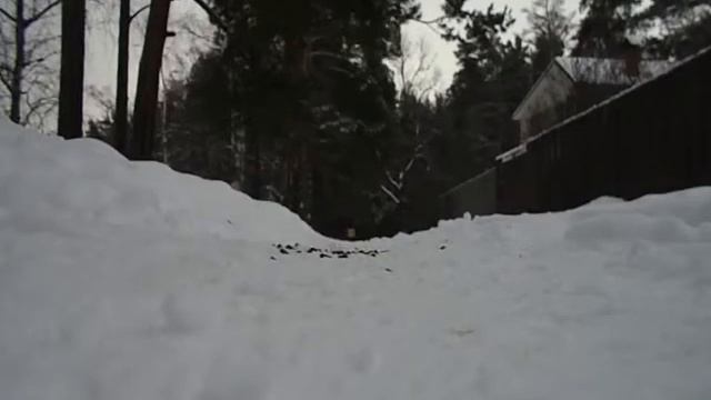 Кормление птиц зимой с руки. Шпана... ))) )))))) смотреть онлайн