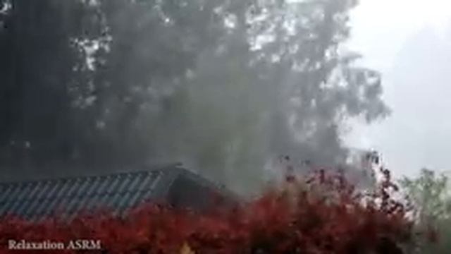 99% мгновенно засыпают - Шум дождя на крыше в тропическом лесу - Звуки дождя и грома для сна смотреть онлайн