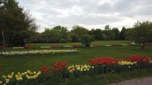 Музей-заповедник "Коломенское". 14.05.2023 год. Москва.