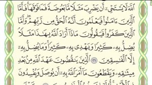 сура Аль Бакара, аяты 25 до 29, чтец Гулиев, медленное чтение