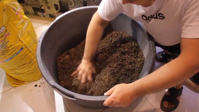 СпатифиллУм (СЕНСАЦИЯ) пересадка смотреть онлайн