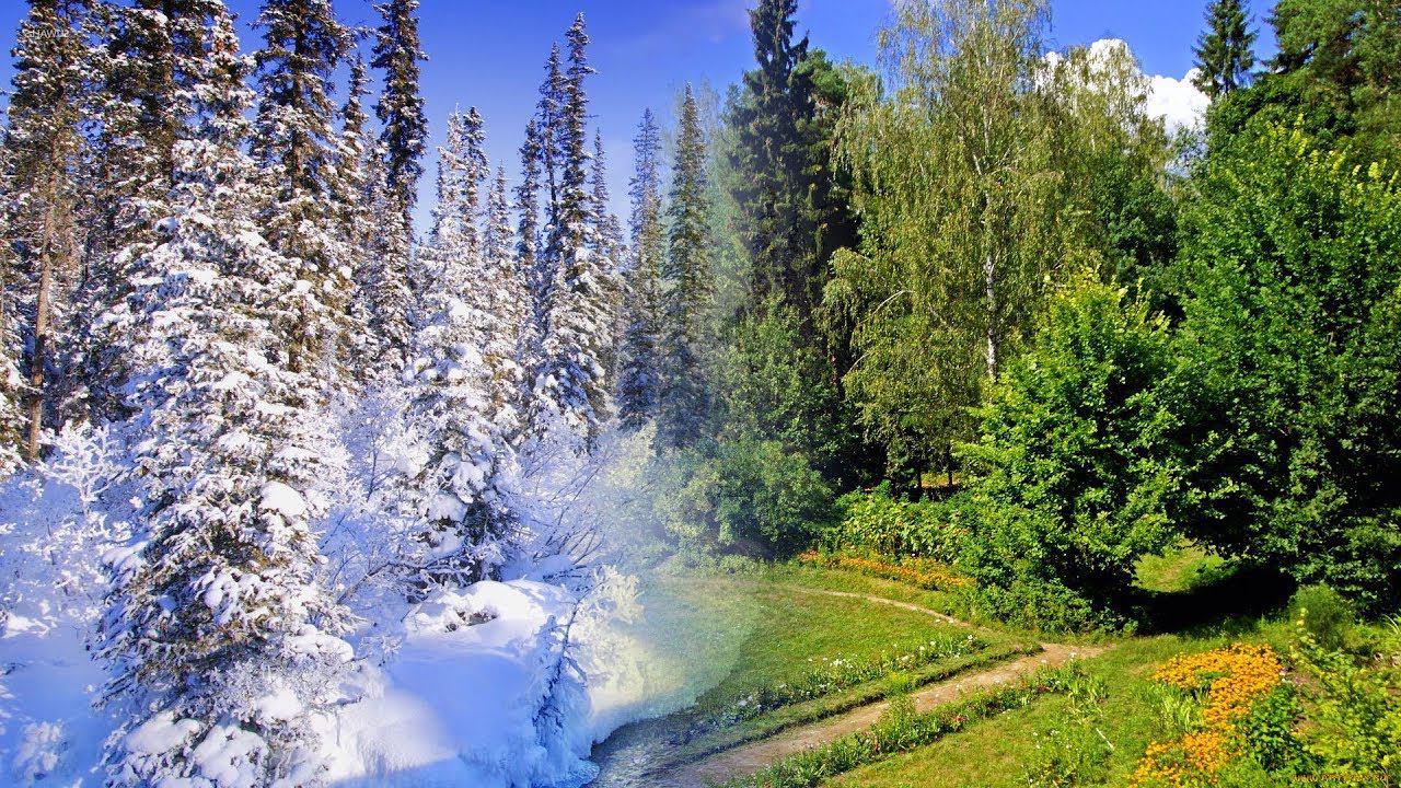 Времена года (на стихи Елены Туркка). Nature Seasons on poems by Elena Turkka смотреть онлайн