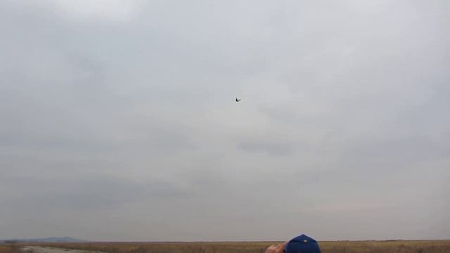 RC Plane Fokker DR-1 SV-26cc | модель самолета Фоккер ДР-1 смотреть онлайн