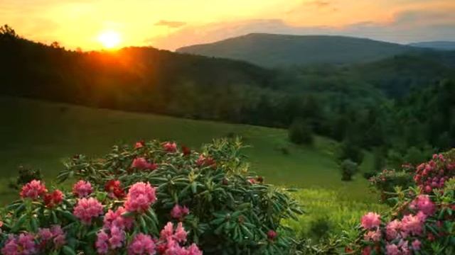 День 19 Медитация Изобилия и Любви Англ язык смотреть онлайн