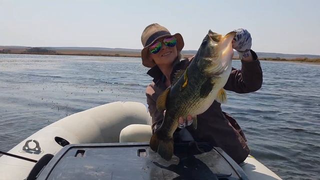 All our fishing adventures during 2022 смотреть онлайн