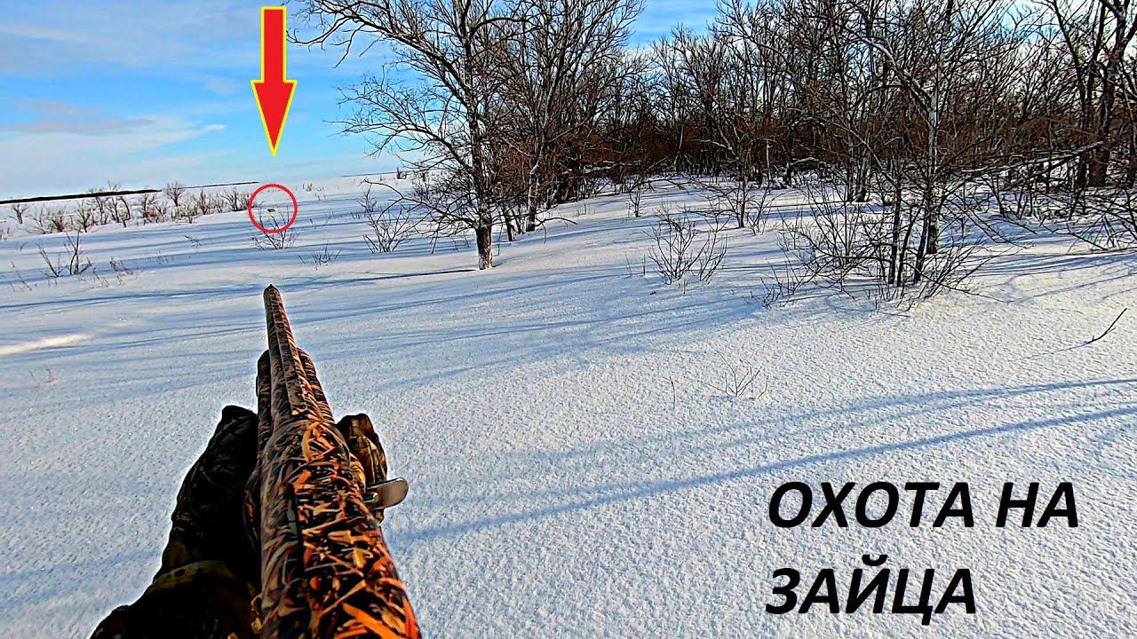 СУПЕР ОХОТА НА ЗАЙЦЕВ ЗАГОНОМ!!! ЗАЙЦЫ В ПОСАДКАХ!!! Я и три Димана / MAX HUNTER смотреть онлайн