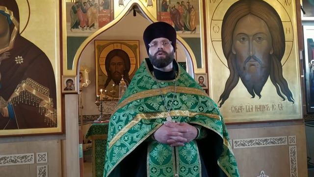 Проповедь о.Димитрия 20.07.22 Казанская икона Божией Матери смотреть онлайн