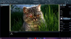 КАК СДЕЛАТЬ СВОИ ОБОИ В WALLPAPER ENGINE ЗА НЕСКОЛЬКО ШАГОВ !!