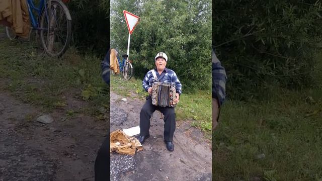 Торбеево гармонист смотреть онлайн