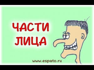 Испанский язык  Урок 12 Части тела - partes del cuerpo №2 - части лица (www.espato.ru)