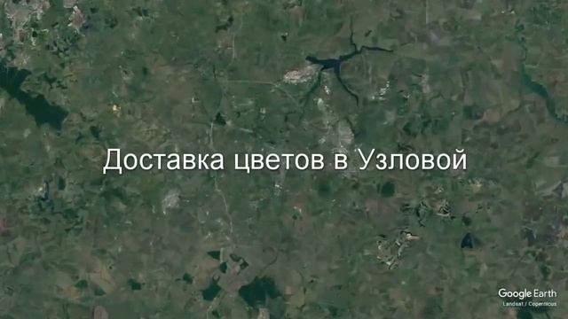 Доставка цветов в Узловой - Заказ букетов от компании Скорая подарочная помощь смотреть онлайн