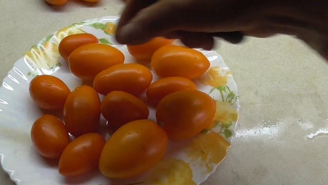 ТОМАТ РУССКИЕ КОЛОКОЛА. ДЕГУСТАЦИЯ. Ольга Чернова. смотреть онлайн