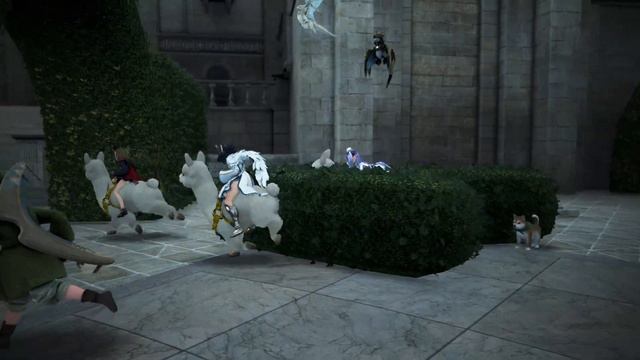 #BDO #黒い砂漠PC 第一回 #荘園アルパカレーシング の様子