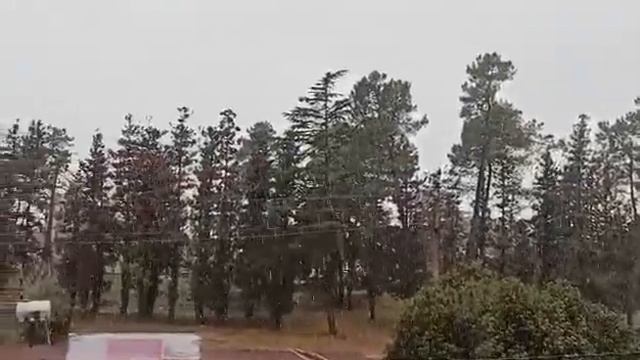 19 01 2021 первый снег Кобулети ул Руставели Видео Артур Мартиросян Аджария Грузия смотреть онлайн