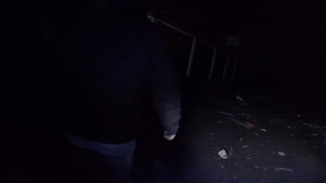 Project Wasteland | A FPV Pilot indoor dream смотреть онлайн
