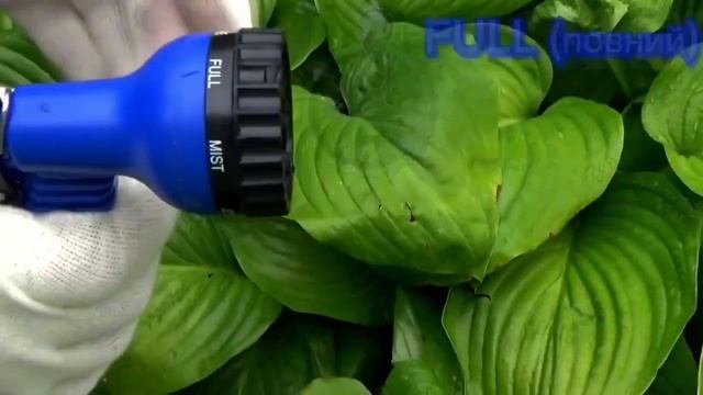 Шланг для полива растягивается в 3 раза