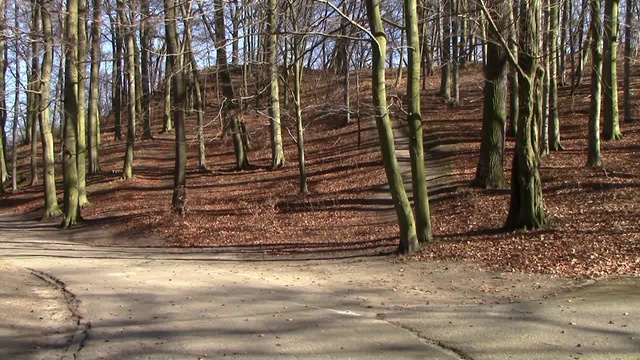 Гданьск-Оруня ПАРК, ранняя весна смотреть онлайн