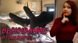 На море на поезде / день второй / в Анапу Выживание в поезде часть вторая