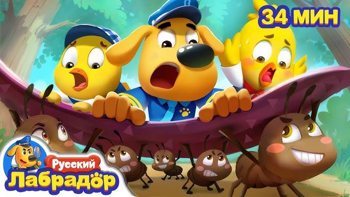 С муравьями шутки плохи | Безопасность в жизни | Сборник мультиков для детей | Шериф Лабрадор смотреть онлайн