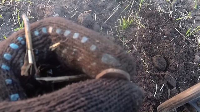 Хоть и не сильно ожидали,но медаль нам всё же дали)) смотреть онлайн