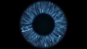 Восстановление Зрения/ Лучшая Матрица Гаряева и Настрой Сытина