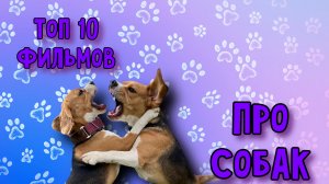 Топ-10 фильмов про собак