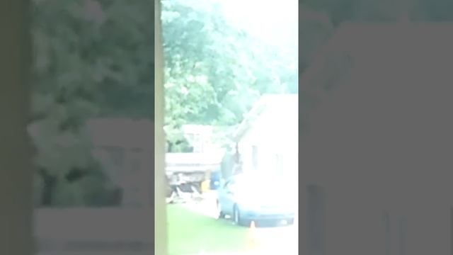 Drunken neighbors смотреть онлайн