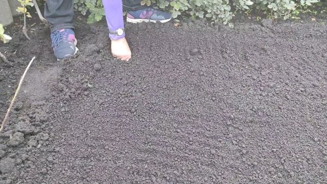 Посадка озимого чеснока. Сад и огород для "ленивых" смотреть онлайн