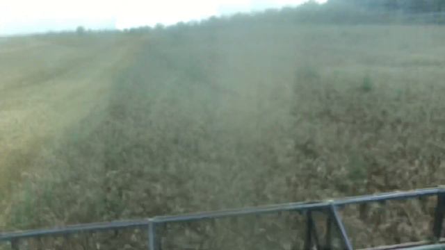 Уборка озимої пшениці 20 липня смотреть онлайн