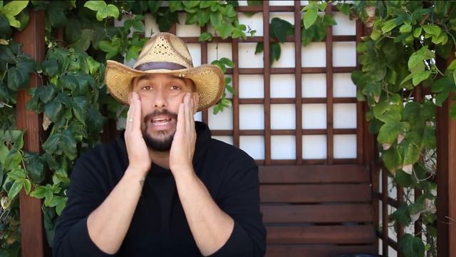 Cómo saber si tu bonsai se está muriendo смотреть онлайн