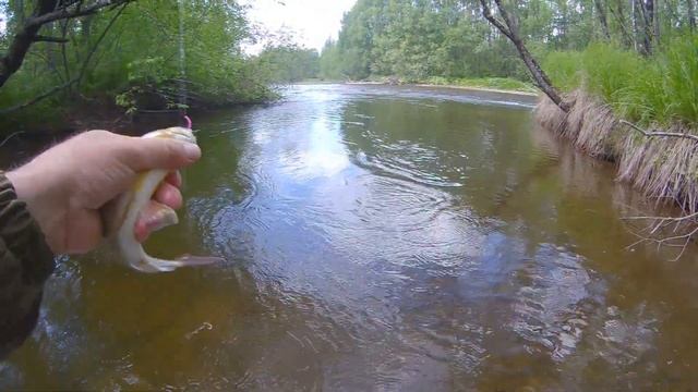 Летняя рыбалка на реке Кур.Часть 2. смотреть онлайн