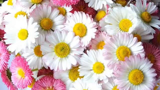 Маме 87 лет смотреть онлайн