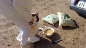 Моя корейская дача с нуля. Привезла первых цыплят ^^ KOREA VLOG