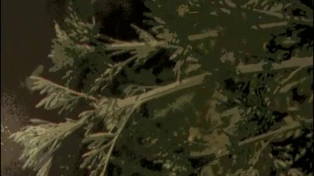 полынь смотреть онлайн