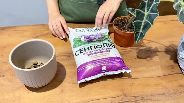 Один день из жизни флориста // Атмосфера цветов смотреть онлайн