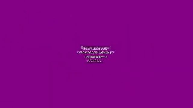 Такиера или поиски счастья для собаки- инвалида
