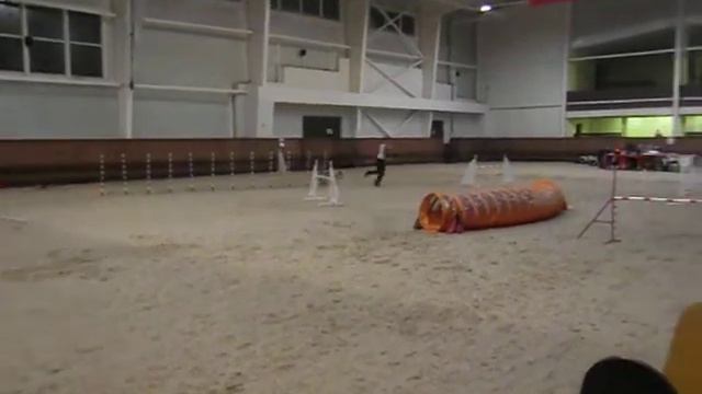 Квик Д3 Кубок НКП Русь смотреть онлайн