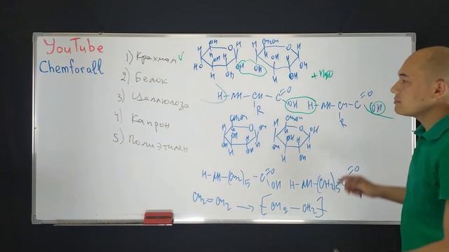 Какие вещества являются продуктами реакции поликонденсации?1) крахмал; 2) белок; 3) целлюлоза смотреть онлайн