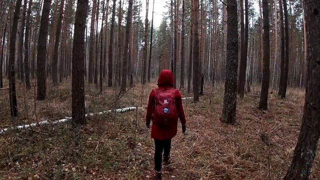 Поход в осенний лес. Ручей в лесу. Лесное озеро. Походный топор. Походная газовая плитка. смотреть онлайн