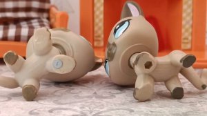 LPS: Как отличить 3D-подделку от оригинала?