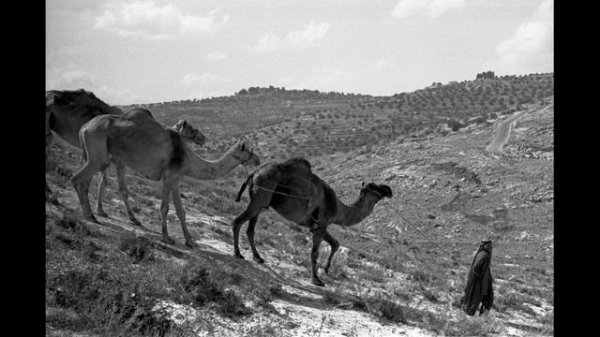 Афганистан Воинам афганцам посвящается песня про афган - Урок географии