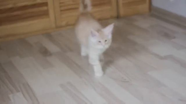 Изюм 08.12.13 смотреть онлайн