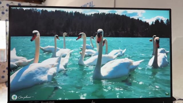 Hp 22 ips monitor ?8977441997 смотреть онлайн