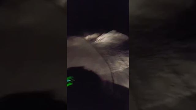 Прогулка на снегоходе. Выгуливаем своего пса. Пес показывает куда ехать.