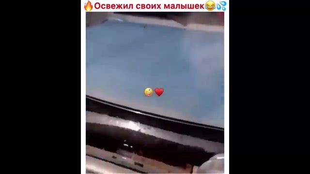 Подборка лучших роликов из Инстаграма #19 смотреть онлайн