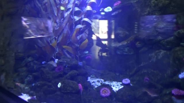 ЧТО ПОСЕТИТЬ В ГЕРМАНИИ - ЗООПАРК В РОСТОКЕ(ZOO IN ROSTOCK)