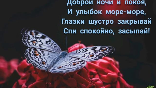 Доброй ночи и покоя, И улыбок море-море! смотреть онлайн