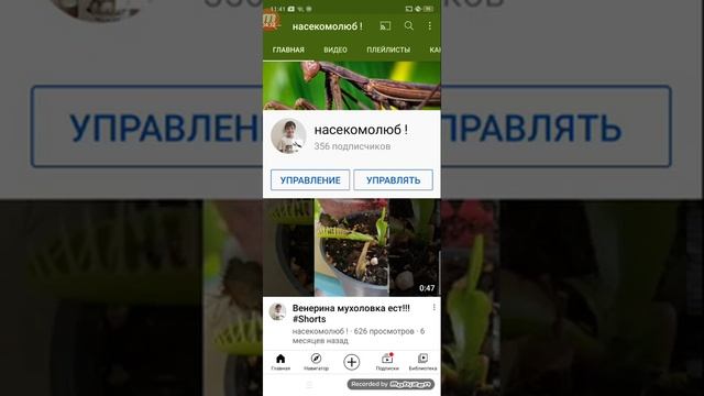 СТЕКЛЯННИЦА. Конкурс смотреть онлайн