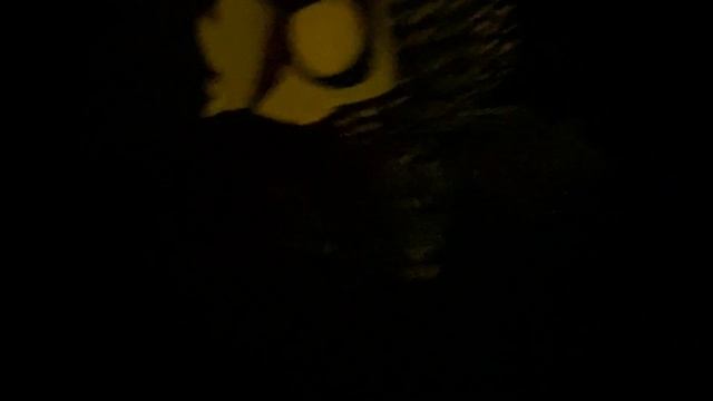 Funko Pop COCO Pepita BoxLunch Exclusive GITD Review смотреть онлайн