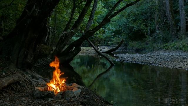 Желтеют листья у картофеля. Что делать? смотреть онлайн